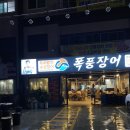 폭풍장어 이미지