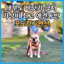 바다랑포도펜션 이미지