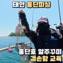 홍단피싱
