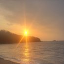 카우스톨 이미지