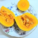 양자농장 이미지