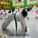 참멋태권도 이미지