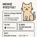 캣월드 이미지