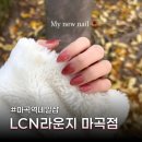 장미샵 | 마곡역네일샵 LCN마곡에서 말린장미 가을네일 아트 받은 후기