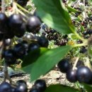 보령농장 이미지