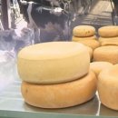 청솔2목장 이미지