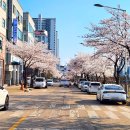 GS25안산천남점 이미지