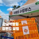 제주감귤박람회 이벤트 2회방문 아이와 체험후기