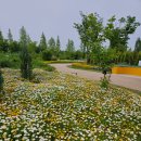 세종국립수목원 방문후기