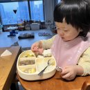 애플쿡 | 16개월 아기 식단/ 이유식 레시피 (루쏠, 베리쿡, 애플랜 후기)