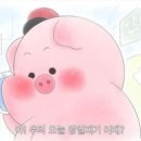 송정지하 이미지