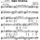 세월이 약이겠지요 악보 - 송대관 노래. 이미지