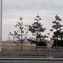 7540 | 인천 - 발리 ke629편 후기! 11.18 HL7540