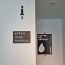 더샘 이미지