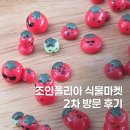 석송 | 조인폴리아 식물마켓 2회차 방문후기