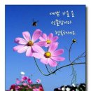 우드 스토리 이미지