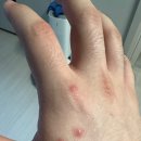 휴성펜션 이미지