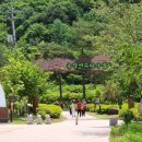 공작산생태숲 이미지