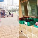 인라인롤러장 이미지