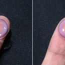 퍼플네이쳐 이미지