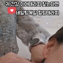 귀건강이혈테라피 이미지