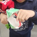 그림책 놀이터 Ⅱ 이미지