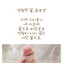시네마크럽 Daum카페