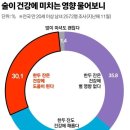2025년 12월 19일 신문을 통해 알게 된 것들 이미지
