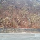 상옥리 마을회관 이미지