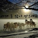 한국수제음료협회 이미지