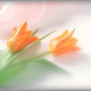 늘,그곳 이미지