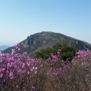 비슬산 이미지