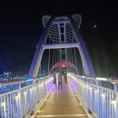 푸른빨래터 | 대구 크리스마스 분위기 제대로! ‘앞산 겨울정원’ 방문 후기 (앞산 빨래터공원 · 해넘이전망대)