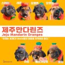 (주)반엔터테인먼트 이미지