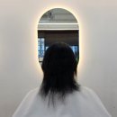 신데렐라붙임머리