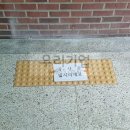 신성중고등학교 이미지