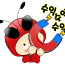 2023-0013 이미지