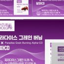 빵파라다이스 네이버블로그