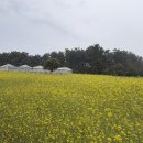 항몽유적지 | 애월 가볼 만한 곳 항파두리 항몽유적지 데이트 후기