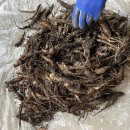 새 하나농장 이미지