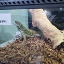 부천자연생태공원 둘러보기 - 자연생태박물관
