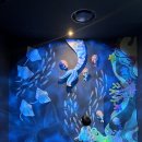 아이와싱 | 광교 아이와 가볼만한 곳, 아쿠아플라넷 3세 6세 아이와 다녀온 리얼 후기