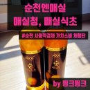 순천향매실영농조합법인 | [매실에이드][22년 대통령실 추석선물 선정] 순천엔매실 매실청, 매실식초
