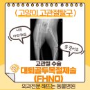 관골 | <고양이 고관절탈구 수술후기/FHNO> : 해뜨는동물병원/외과전문동물병원/진주고양이정형외과/신진주역...