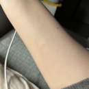 아이에스애드 | [43] 이번주 로또 1등은 나의 것