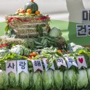 마루마리 이미지