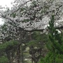 낙동강변로1-2 이미지