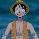 로로동물의료센터 이미지