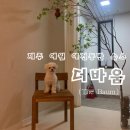 더바움 | 제주 애월 애견동반 가능한 감성숙소 추천 “더바움” 후기