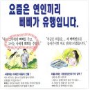 삐삐라떼 이미지